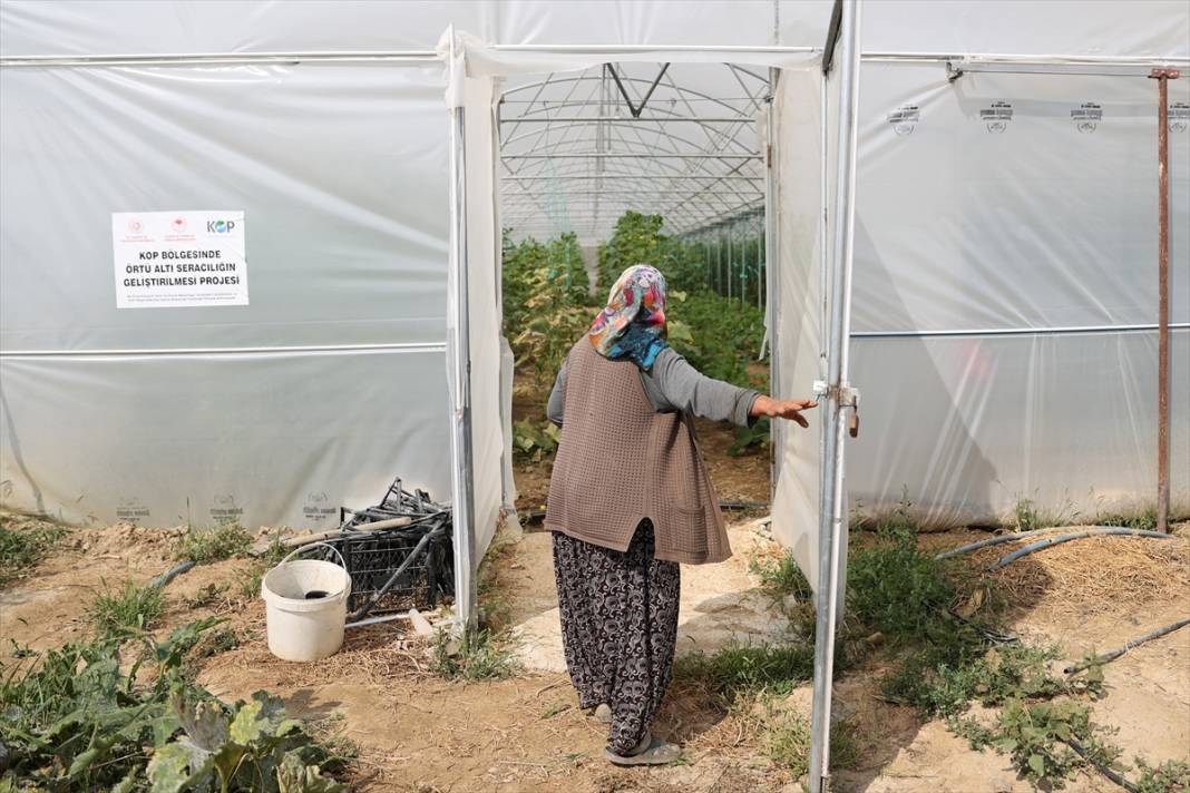 Özelliğini duyan Konya’daki bu bahçeye koşuyor 5